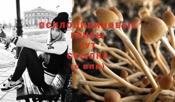 экстази Вязники