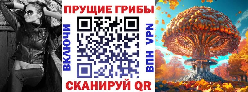 Купить закладки  Кемерово  Псилоцибиновые грибы Magic Shrooms 